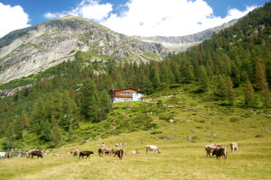 Val di Fumo