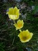 photo_10