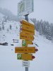 photo_15