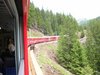 photo_19