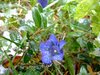 photo_23