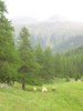 photo_24