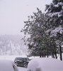 photo_3