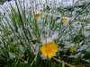 photo_17
