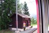 photo_8