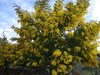 photo_15