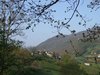 Rio Restano-Penna