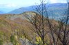 Monte Aiona