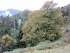 Madonna della Neve