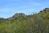 Monte Pietra di Corvo