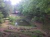 Giardino botanico di Pietra Corva