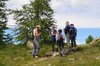 Monte Avic