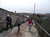Nervi