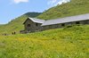 Malga di Saval