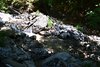 Torrente Pioverna
