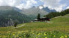 Champoluc
