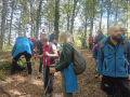 Foreste Casentinesi