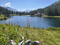 Campiglio