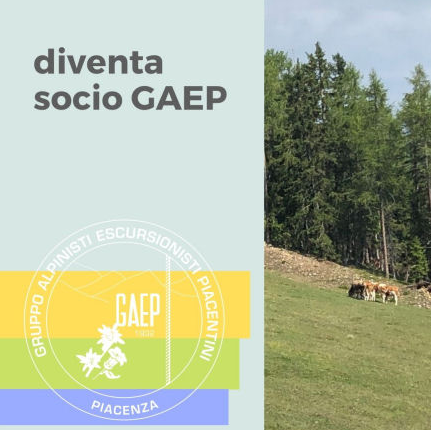 diventa socio GAEP