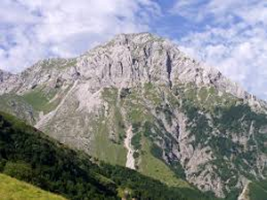 Pania
