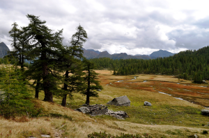 Alpe Buscagna