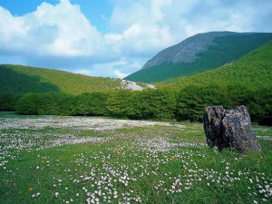 Montecucco