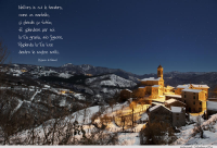 Auguri